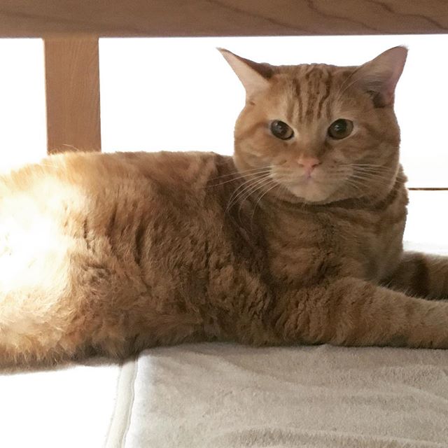 HOME_MAR INSTAGRAM